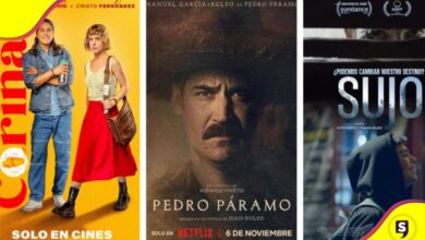 ganadores de los Premios Ariel 2025