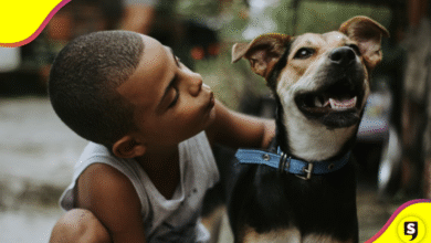 ¡Confirmadísimo! Tu perro y tú tienen una conexión olfativa