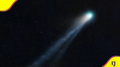 Cometa Lemmon México