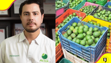 Matan a líder productor de limón en Apatzingán