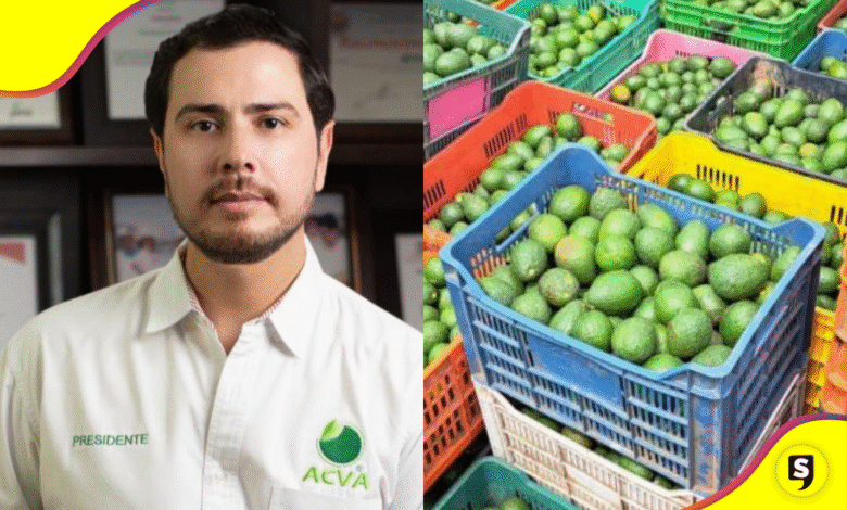 Matan a líder productor de limón en Apatzingán