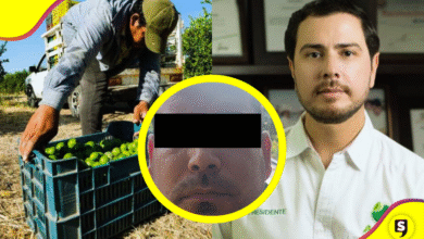 Detienen a “Plátano”, presunto homicida de líder limonero