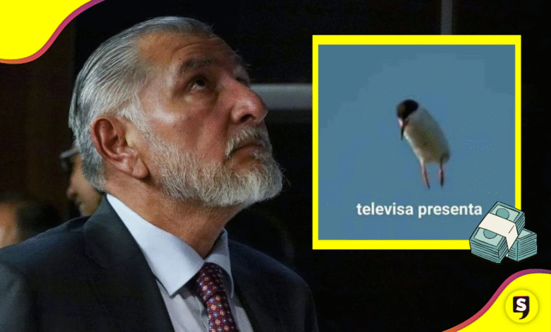 Censura en investigación anticorrupción a Adán Augusto