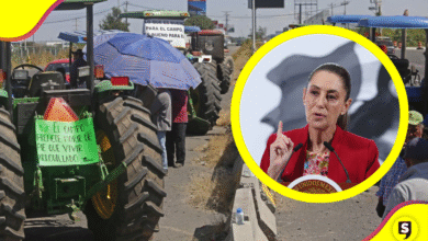 Productores de maíz y gobierno llegan a acuerdo, recibirán $950
