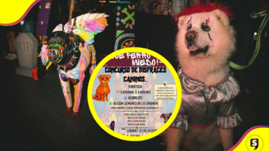 Tulancingo celebra Día de Muertos con concurso de disfraces caninos