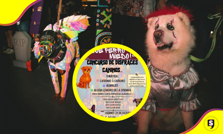 Tulancingo celebra Día de Muertos con concurso de disfraces caninos
