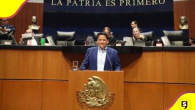 Ley de Ingresos Ochoa