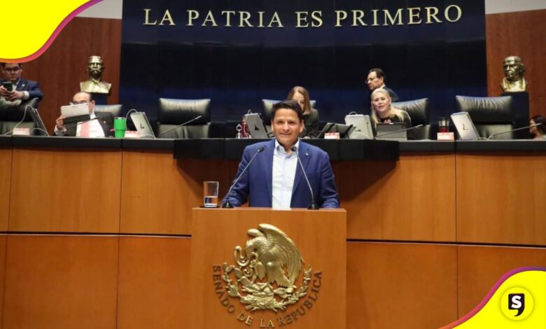 Ley de Ingresos Ochoa