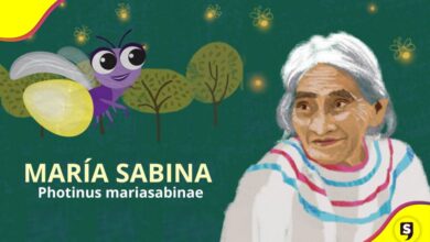 María Sabina luciérnaga Chapultepec