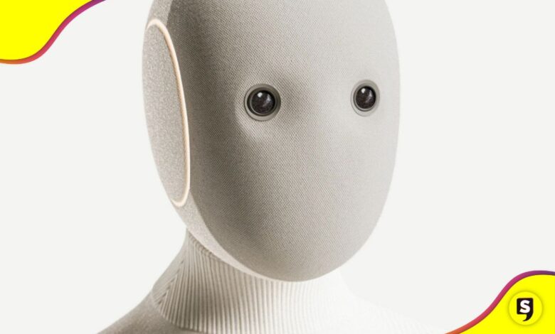 NEO robot