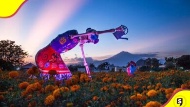 Valle de Catrinas 2025