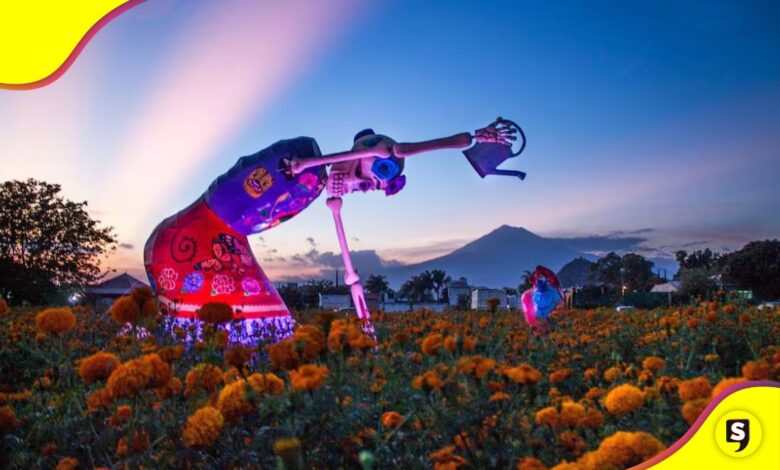 Valle de Catrinas 2025