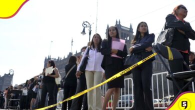 desempleados en México 25 44