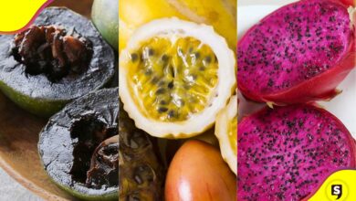 frutas de invierno México