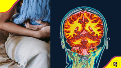 El cerebro femenino cambia de tamaño durante el ciclo menstrual.