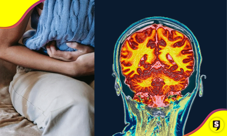 El cerebro femenino cambia de tamaño durante el ciclo menstrual.