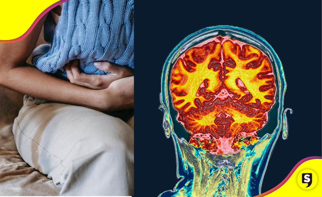 El cerebro femenino cambia de tamaño durante el ciclo menstrual.