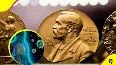 ¿Cómo se protege el cuerpo humano? Ganadores de premio Nobel de Medicina.