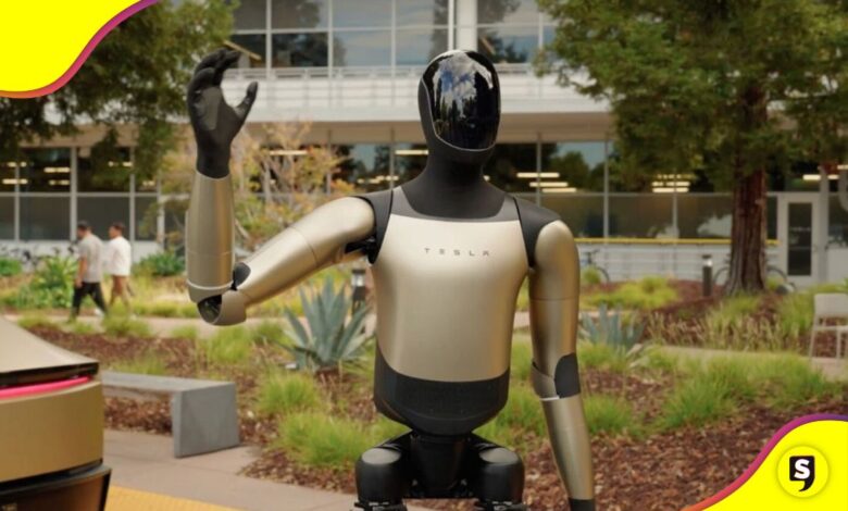 robot Optimus pobreza