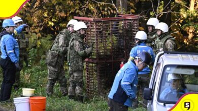 Japón ataques de osos