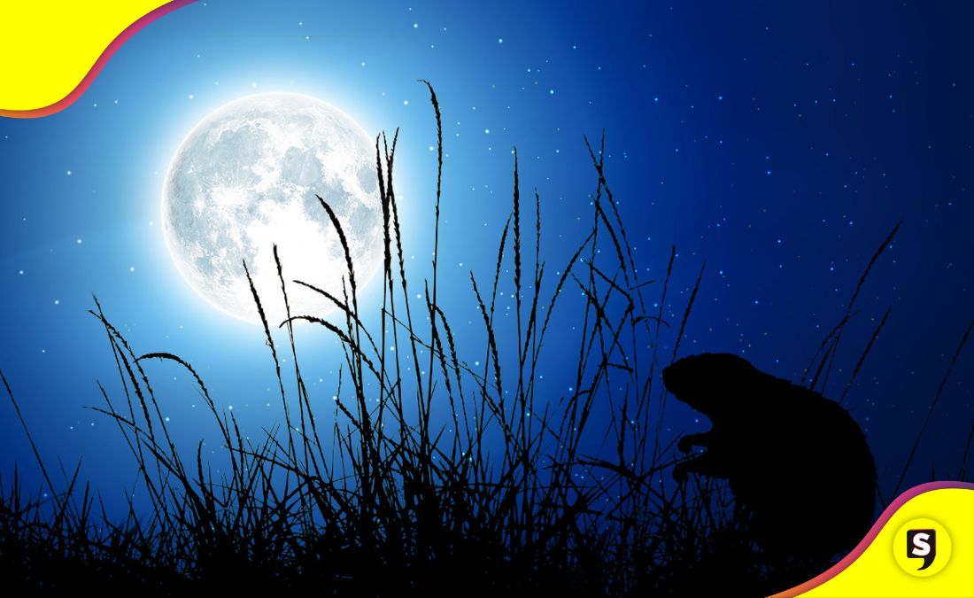 Luna de Castor 2025