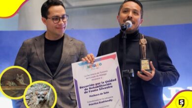Pachuca premio Ecofriendly