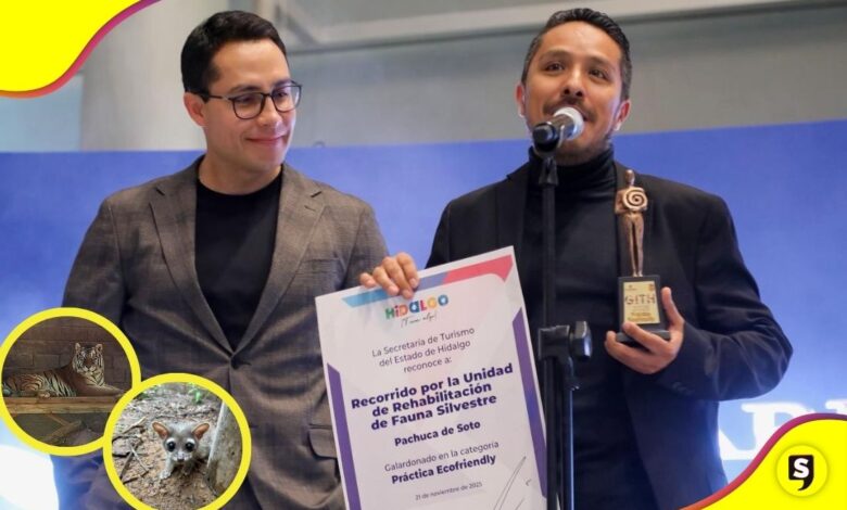 Pachuca premio Ecofriendly