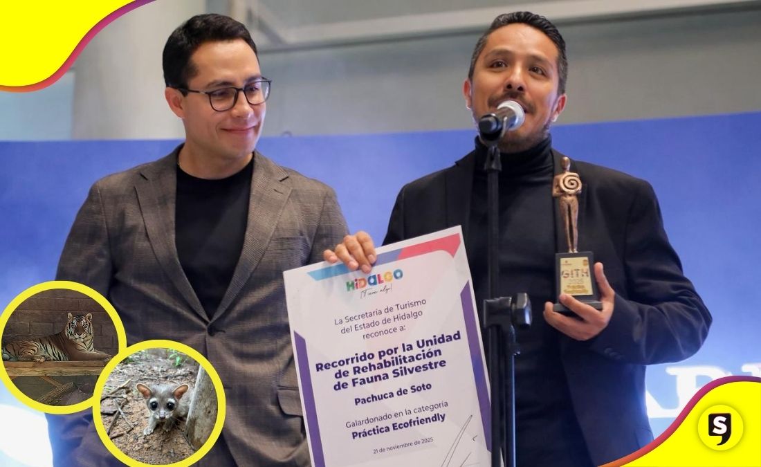 Pachuca premio Ecofriendly