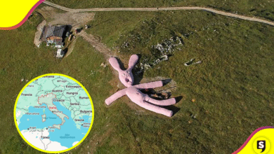 El misterioso conejo rosa gigante de los Alpes italianos.
