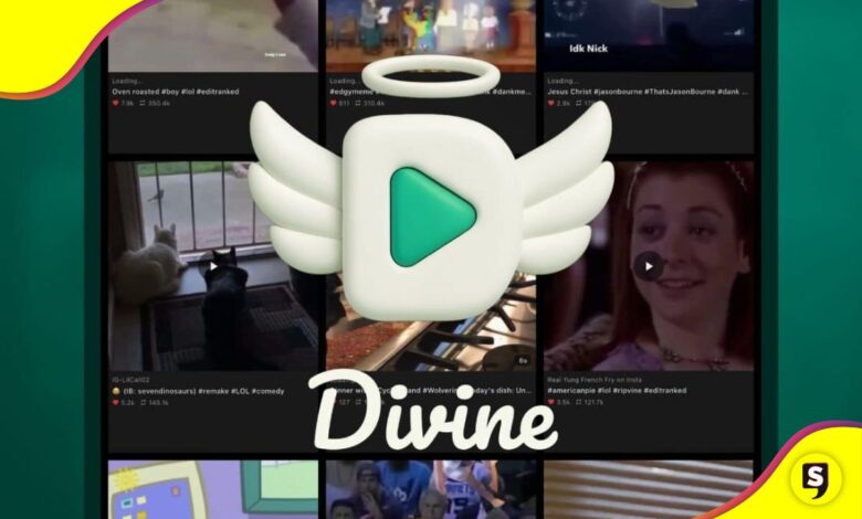 diVine