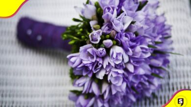 flores moradas 9 de noviembre