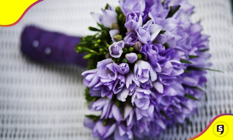 flores moradas 9 de noviembre
