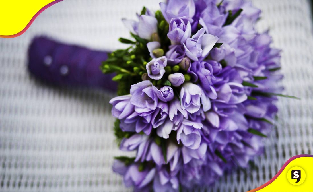 flores moradas 9 de noviembre