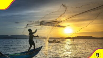 mariscos permitidos todo el año