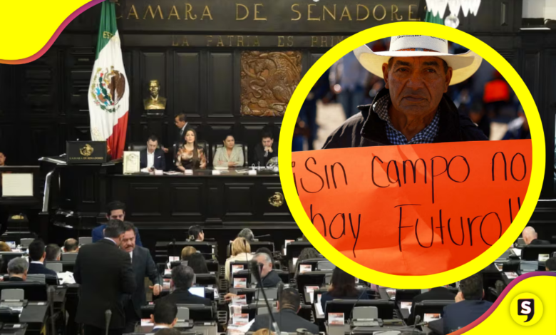 Protestas obligan al Senado a cambiar sede por Ley de Aguas