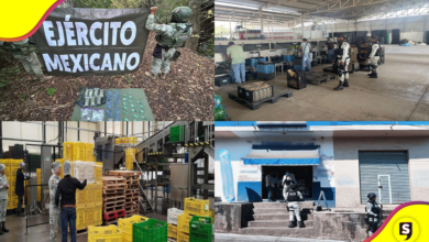 Detienen a 16 personas y aseguran armas en Michoacán