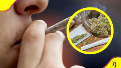 Aumento en el consumo de marihuana en México: ENCODAT
