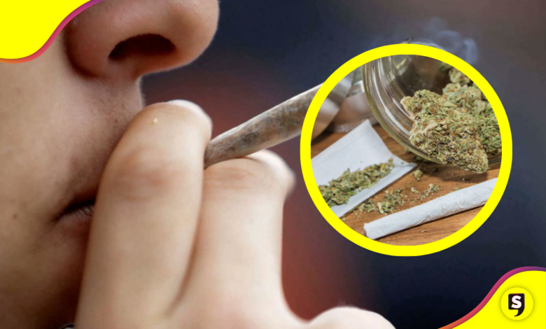 Aumento en el consumo de marihuana en México: ENCODAT
