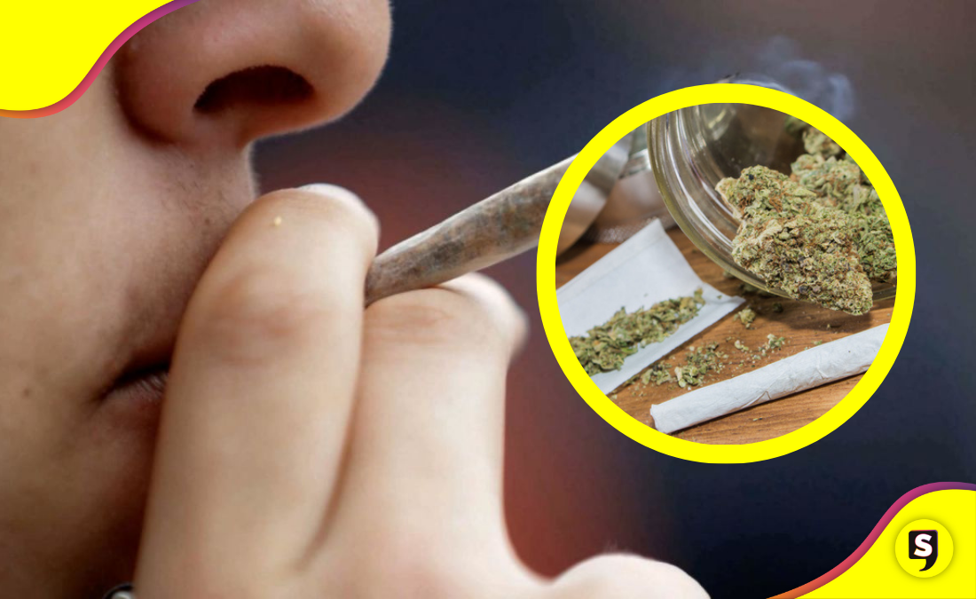 Aumento en el consumo de marihuana en México: ENCODAT
