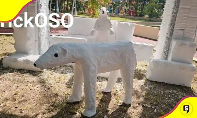 Oso Crikoso de Nayarit