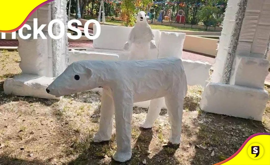 Oso Crikoso de Nayarit