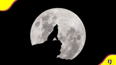 2026 Luna de Lobo