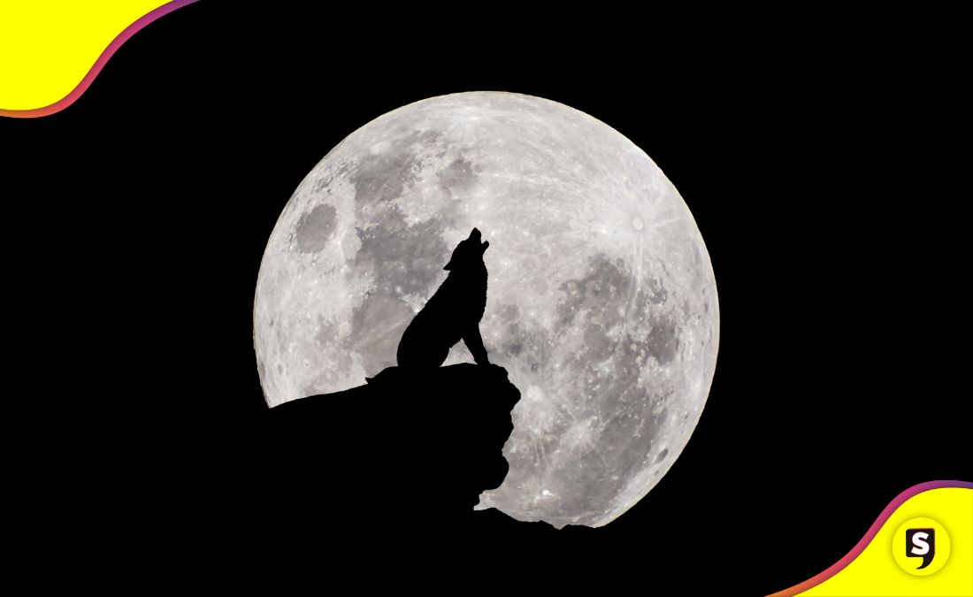 2026 Luna de Lobo