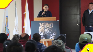 Hidalgo apuesta por la preservación del jaguar