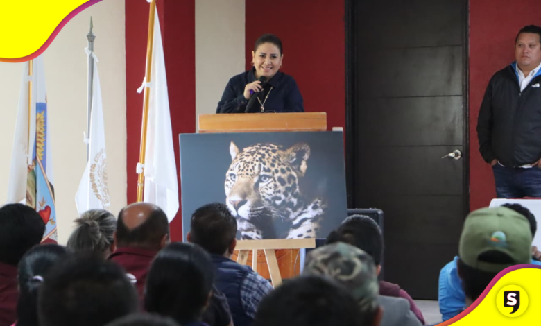 Hidalgo apuesta por la preservación del jaguar