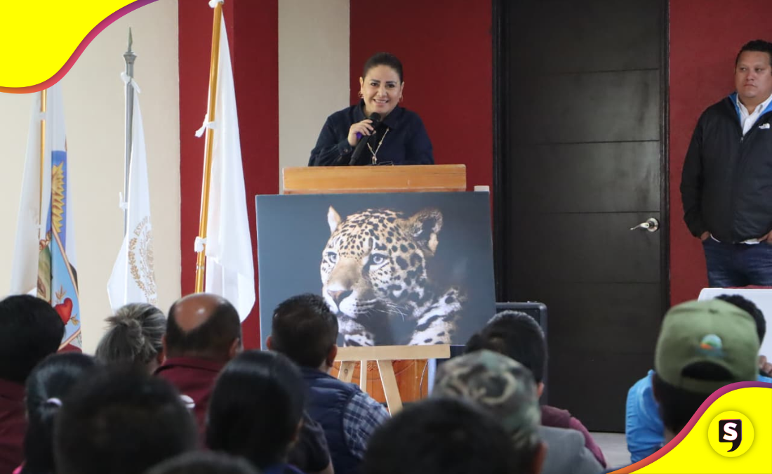Hidalgo apuesta por la preservación del jaguar