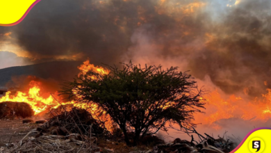 Imprudencia humana: Pachuca inicia el año con 13 incendios