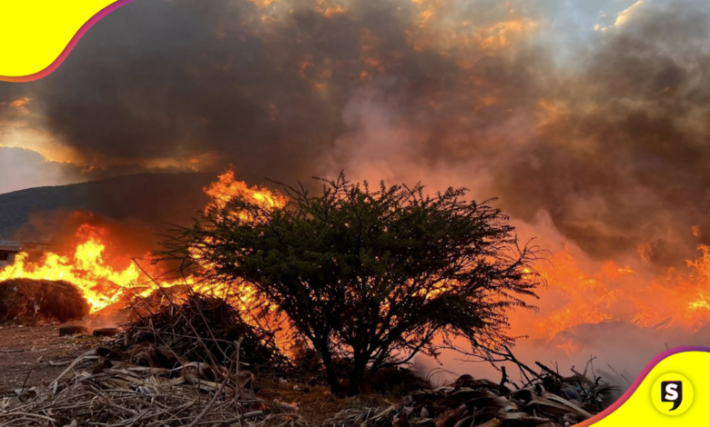 Imprudencia humana: Pachuca inicia el año con 13 incendios