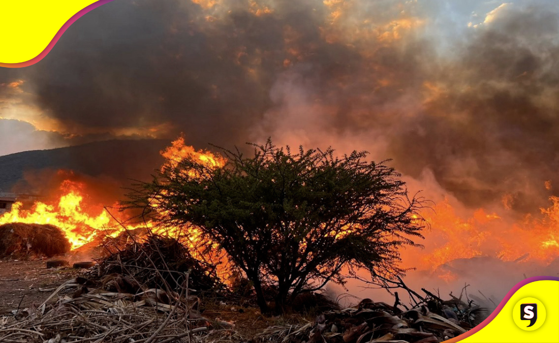 Imprudencia humana: Pachuca inicia el año con 13 incendios