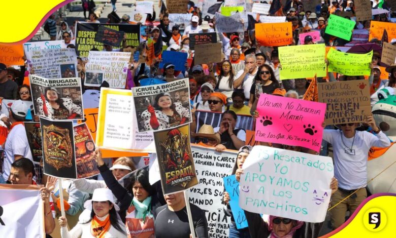 Refugio Franciscano Gobierno de la CDMX